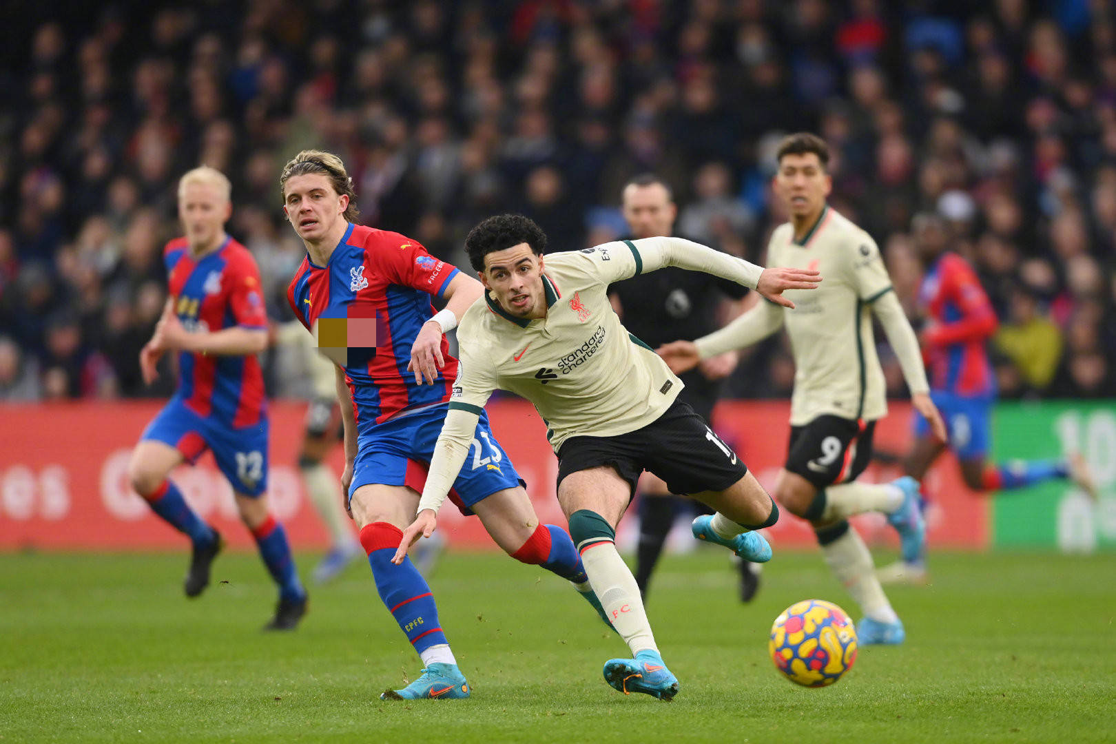 却在有限的 却在有限的